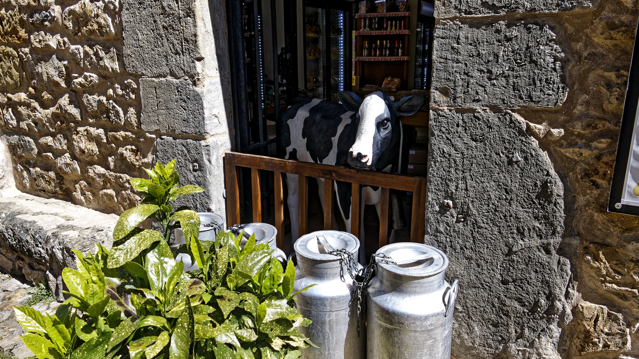 20240503 120837•Santillana del Mar•Cantabria•Spain